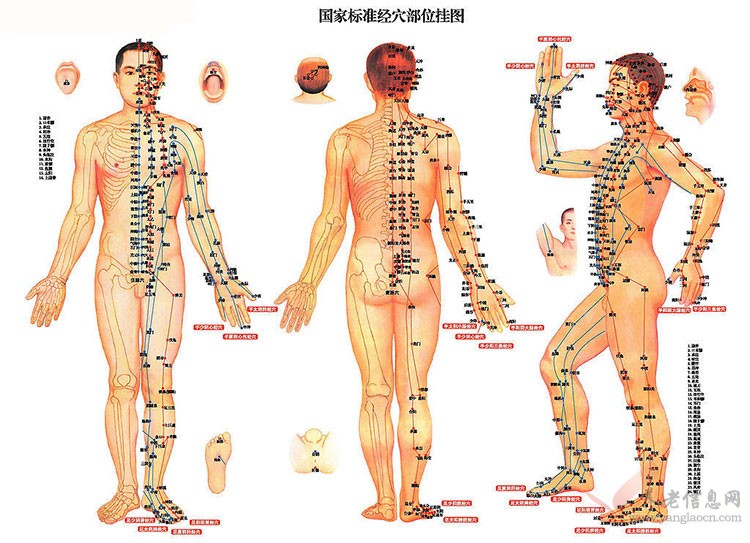 把相關(guān)穴道連綴成線即為經(jīng)絡(luò)系統(tǒng)