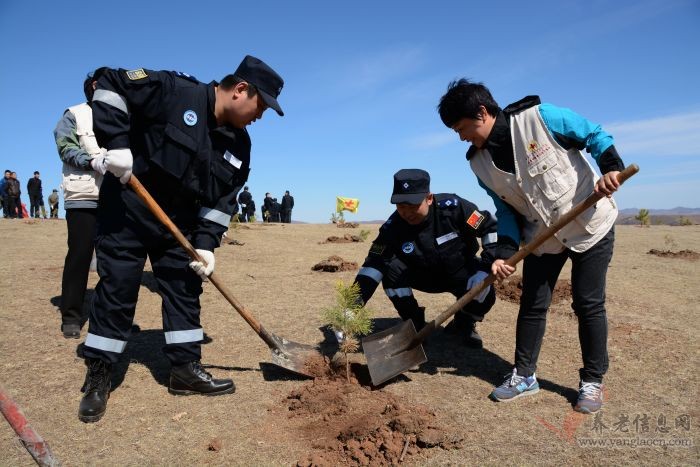 扎蘭屯市紅十字志愿者義務植樹建美好家園