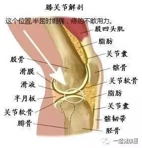 跑步雖好 跑錯了會殘疾 推薦一個更適合減脂人群的方法