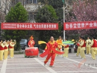 武術進社區(qū)，太極展風采【組圖】