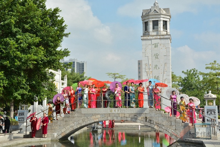 中山市南區(qū)舉辦老年人百人旗袍秀攝影活動【組圖】