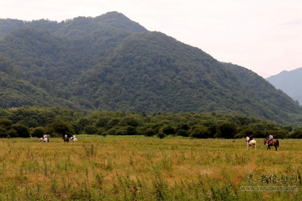 重慶市巫山縣老年人暢游大九湖盡享天然之美