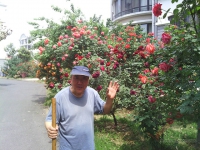 種花養(yǎng)草與老年人的健康