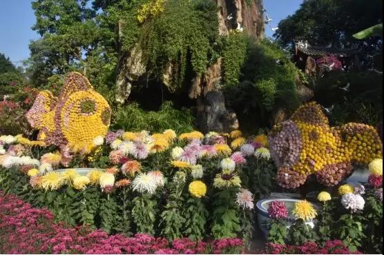 走進西湖公園，TA們就自成一景