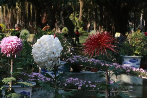 走進西湖公園，TA們就自成一景