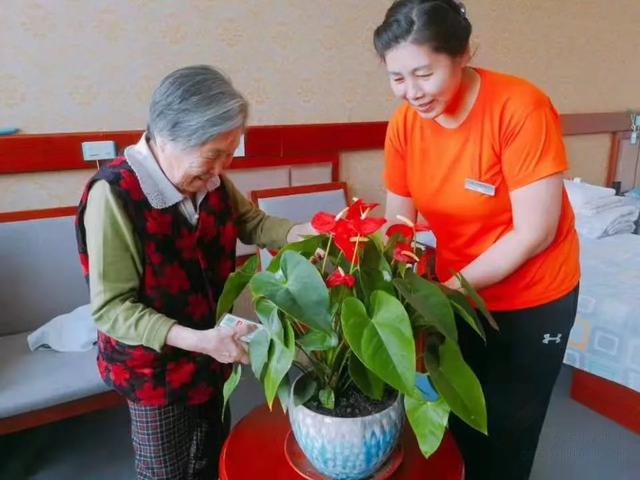 品頤康長(zhǎng)者的新年寄語(yǔ)，讓你的2020每一天都成為最特別的日子