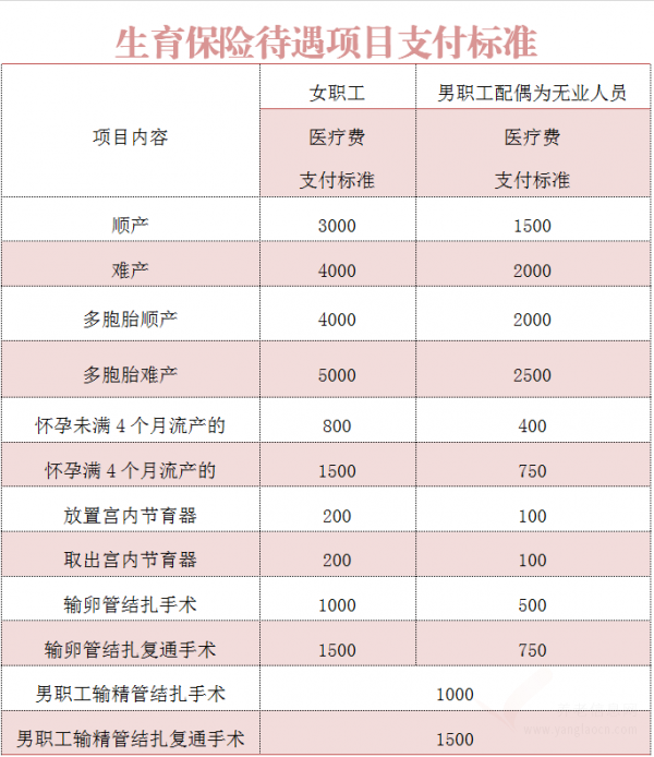 南寧市所有職工生育住院醫(yī)療費(fèi)用都可以在醫(yī)院直接結(jié)算啦！