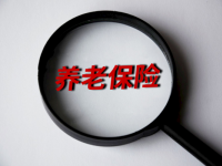 云南省2020年企業(yè)職工基本養(yǎng)老保險(xiǎn)靈活就業(yè)人員選檔操作流程