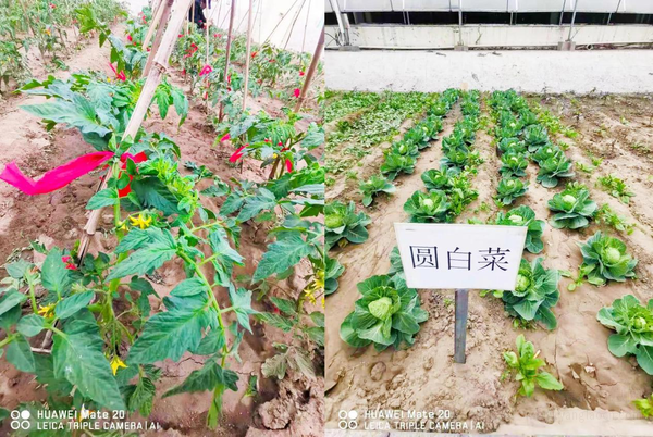 唐山養(yǎng)老院--唐山老人養(yǎng)老的后花園！