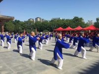 西安市鄠邑區(qū)中老年體協(xié)在全市太極拳展示交流活動(dòng)中榮獲佳績(jī)