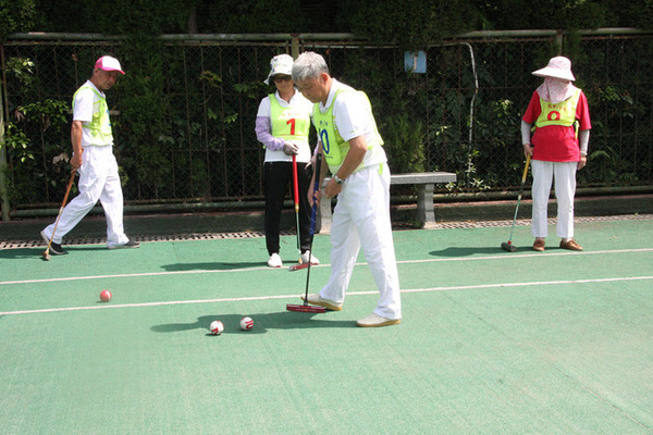 江蘇無錫宜興市成功舉辦“喜慶建黨百年華誕共產(chǎn)黨員門球展示活動”