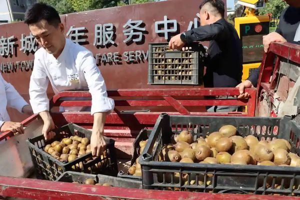 隔疫不隔愛 | 大秦溫泉為西安灃東新城老年服務(wù)中心送溫暖