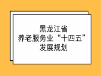 黑龍江省養(yǎng)老服務業(yè)“十四五”發(fā)展規(guī)劃公布了