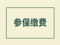 非深圳戶籍人員如何靈活參保？繳費(fèi)基數(shù)、繳費(fèi)比例、辦理流程