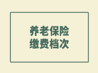 2022年重慶城鄉(xiāng)養(yǎng)老保險(xiǎn)個(gè)人繳費(fèi)檔次