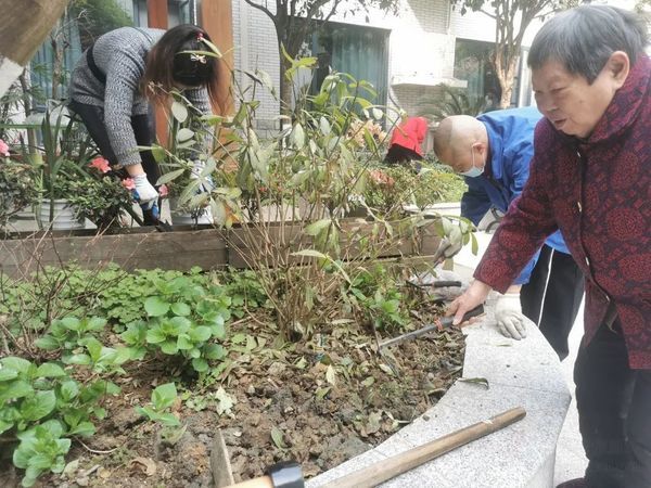 成都市成華區(qū)同樂敬老院——不負(fù)春光 “植”得期待