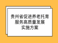 貴州省促進(jìn)養(yǎng)老托育服務(wù)高質(zhì)量發(fā)展實施方案 黔府辦發(fā)〔2022〕6號