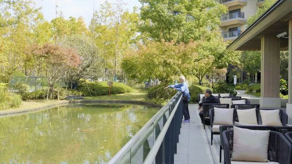 蘇州太湖旭輝彩園——園內(nèi)秋景，美不勝收