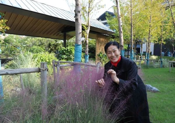 蘇州太湖旭輝彩園——園內(nèi)秋景，美不勝收