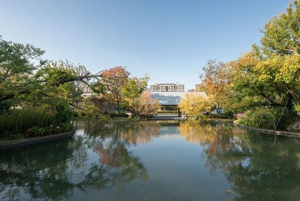 蘇州太湖旭輝彩園——園內(nèi)秋景，美不勝收