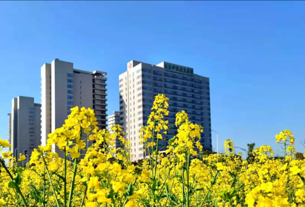 上海泰康之家申園——園內(nèi)春色實(shí)景圖