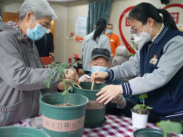 北京恭和老年公寓 植物療愈系列活動