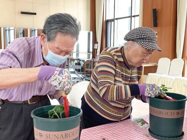 北京恭和老年公寓 植物療愈系列活動