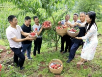 巫山縣老科協(xié)助力鄉(xiāng)村振興初見(jiàn)成效