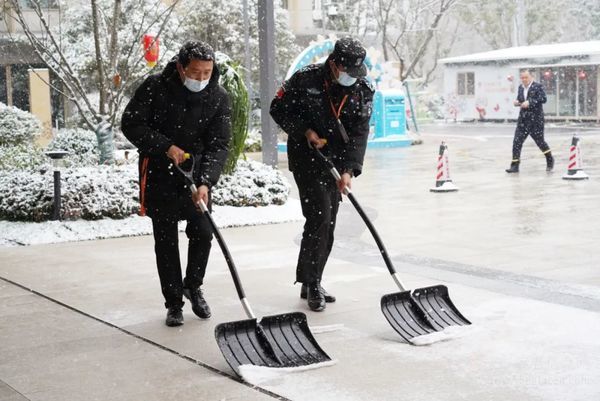 泰康之家蘇園雪景大賞：浪漫冬日限定