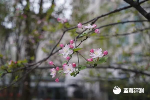 走進泰康之家楚園：養(yǎng)老新體驗，生活每一天都是春天