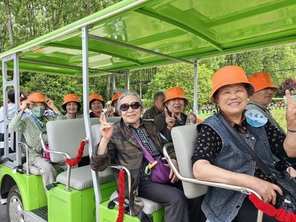 隨風(fēng)而行，心靈之旅：合肥濱湖森林公園的養(yǎng)生秘境