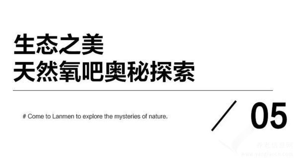 泰康入駐：LANMEN村以“修舊如舊”理念重塑鄉(xiāng)村魅力