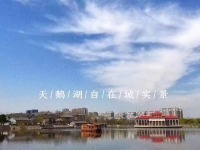 天津武清區(qū)養(yǎng)老院地址一覽表 （2024年11月）