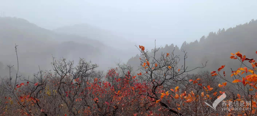 北京市房山區(qū)仙棲谷養(yǎng)老院