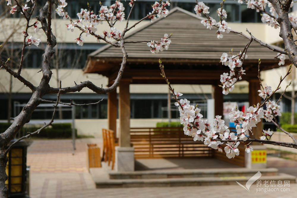 北京市朝陽區(qū)長友恒苑養(yǎng)老院