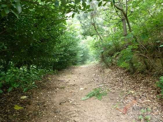 威海石島桃樹(shù)園山莊服務(wù)對(duì)象