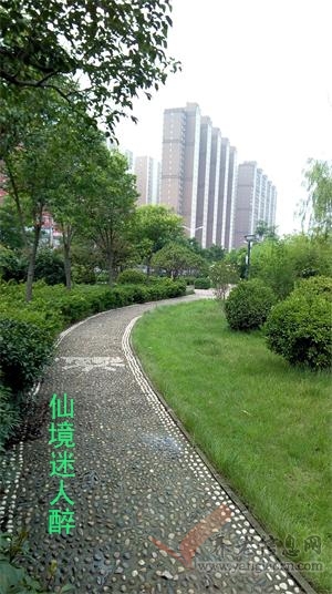 洛陽怡馨園養(yǎng)老中心環(huán)境設(shè)施