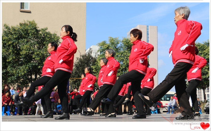 喜迎十九大 健康未央行——記西安市未央?yún)^(qū)老年體育健身交流展示比賽活動【組圖】